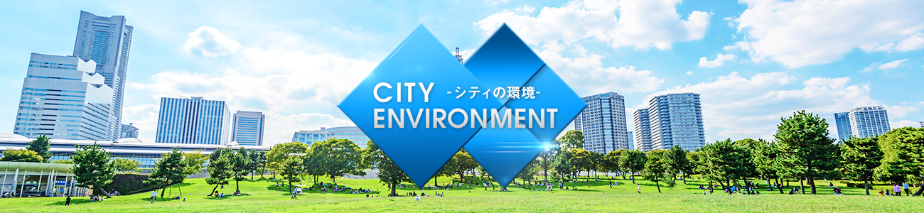 image_kankyo image_kankyo